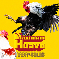稲葉浩志とスティーヴィー・サラスによるINABA／SALAS、約3年ぶりの新アルバム『Maximum Huavo』発売 - 『Maximum Huavo』4/15リリース